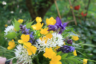 Kräuterführungen, Räucherseminare & Kräuterkostproben | Ingrid, Marie & Tina Hagner | HeilbronnerLand | © Kräuterfrauen Obereisesheim