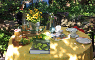Kräuterführungen, Räucherseminare & Kräuterkostproben | Ingrid, Marie & Tina Hagner | HeilbronnerLand | © Kräuterfrauen Obereisesheim