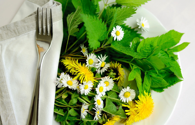 Kräuterfrauen Obereisesheim - Kräuterführungen, Räucherseminare & Kräuterkostproben  | HeilbronnerLand | © pixabay