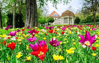 Kurpark Bad Mergentheim