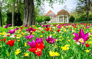 Kurpark Bad Mergentheim | © Holger Schmitt