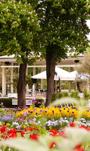 Blick in den Kurpark in Bad Mergentheim. Im Vordergrund sind blühende Blumen und im Hintergrund ein großer Pavillon zu sehen. | © Kurverwaltung Bad Mergentheim