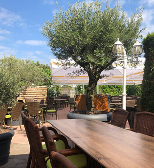 La Oliva - Mediterrane