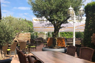 La Oliva - Mediterrane