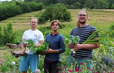 Gärtner bei der Gemüseernte | © LaMa Bio