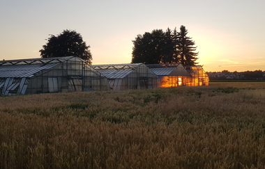 LaMa Gemüsehof im Sonnenuntergang | © LaMa Bio