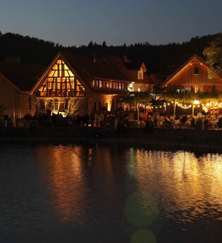 Landgut Lingental in Leimen