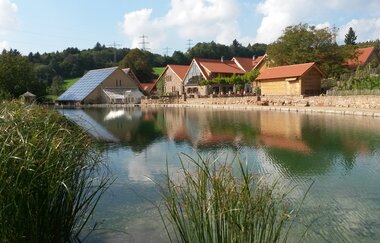 Landgut Lingental in Leimen