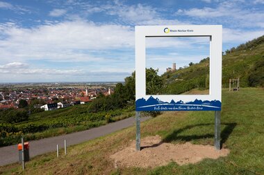 Blütenweg, Weinberge und die Strahlenburg | © Rhein-Neckar-Kreis