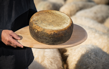 Langenburger Schafskäserei | © Hohenlohe + Schwäbisch Hall Tourismus e. V.