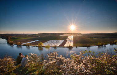 Aussicht auf den Neckar von den Katzenbeißer-Steillagen | © Stadtverwaltung Lauffen am Neckar