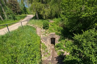Bild der historischen Brunnenlage mit viel Grün unterhalb von einem Feldweg. | © Touristikgemeinschaft HeilbronnerLand