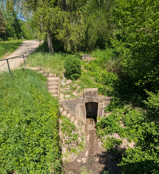 Bild der historischen Brunnenlage mit viel Grün unterhalb von einem Feldweg. | © Touristikgemeinschaft HeilbronnerLand