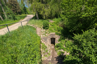 Bild der historischen Brunnenlage mit viel Grün unterhalb von einem Feldweg. | © Touristikgemeinschaft HeilbronnerLand