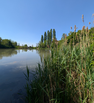 Leberbrunnensee - Fleiner See im Deinenbachtal | © Touristikgemeinschaft HeilbronnerLand