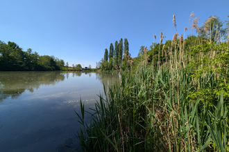 Leberbrunnensee - Fleiner See im Deinenbachtal | © Touristikgemeinschaft HeilbronnerLand