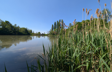 Leberbrunnensee - Fleiner See im Deinenbachtal | © Touristikgemeinschaft HeilbronnerLand