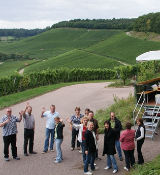 Lemberger Express | Planwagen- und Weinbergrundfahrten | Brackenheim | © Weinkonvent Dürrenzimmern