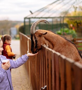 Letzenberg Tierpark