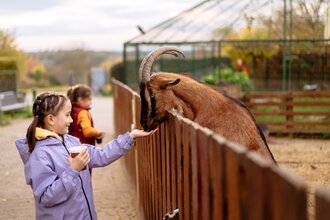 Letzenberg Tierpark | © Landratsamt-Rhein-Neckar-Kreis | Sebastian Weindel