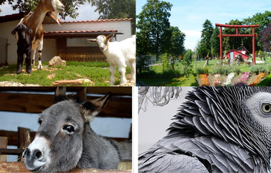 Letzenberg Tierpark | © Letzenberg Tierpark Malsch