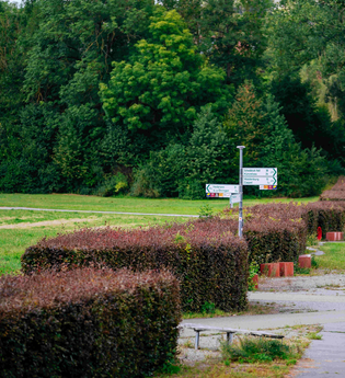 Limes Hecke | © Stadt Öhringen