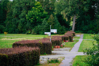 Limes Hecke | © Stadt Öhringen