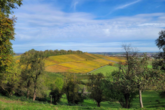 Ausblick vom Lindelberg in Pfedelbach | © Hohenloher Perlen