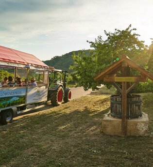 Löwen-Express | Planwagen- und Weinbergrundfahrten im Weinsberger Tal | © Tourismus im Weinsberger Tal & Winzer vom Weinsberger Tal