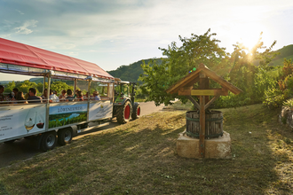 Löwen-Express | Planwagen- und Weinbergrundfahrten im Weinsberger Tal | © Tourismus im Weinsberger Tal & Winzer vom Weinsberger Tal