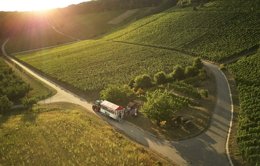 Löwen-Express | Weinbergrundfahrten & fahrende Weinproben im Weinsberger Tal | HeilbronnerLand | © Tourismus im Weinsberger Tal