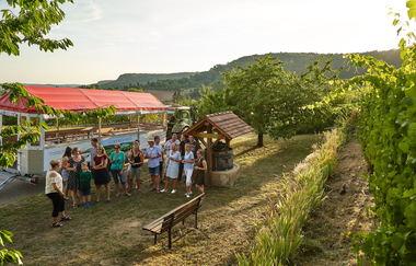 Löwen-Express | Weinbergrundfahrten & fahrende Weinproben im Weinsberger Tal | HeilbronnerLand | © Tourismus im Weinsberger Tal