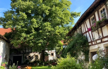 Innenhof des Ludwighof mit großem Baum