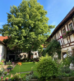 Ludwighof Hoffenheim