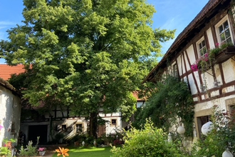 Ludwighof Hoffenheim