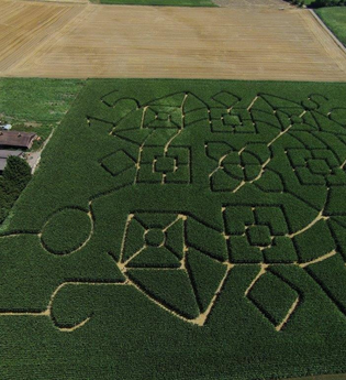 Maislabyrinth Hockenheim