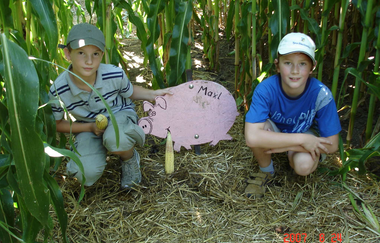 Maislabyrinth Hockenheim