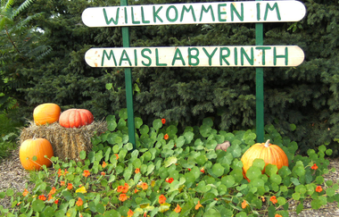 Maislabyrinth Hockenheim