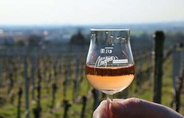 Majers Weinscheuer | © Landratsamt Rhein-Neckar-Kreis