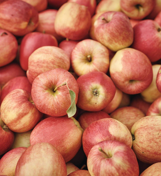 Manfred Frank | © TMBW