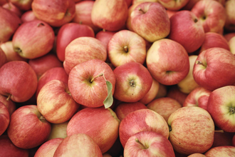 Manfred Frank | © TMBW