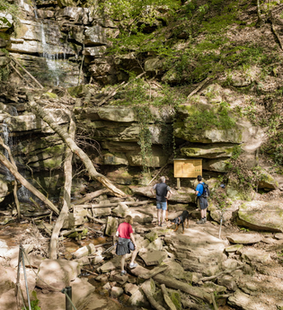 Margaretenschlucht Neckargerach | © Touristikgemeinschaft Odenwald e.V.