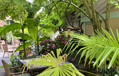 Marijas Schlosspark Café | RadServiceStation | © Marija Ilic-Kinzel | Marijas Schlossparkcafe