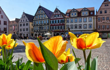 Marktplatz Bad Mergentheim | © Holger Schmitt