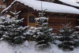 Weihnachtsbäume bei Direktvermarkter Martin Mayer | © Hohenlohe Schwäbisch Hall