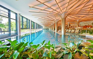 Hallenschwimmbad mit schöner Dachkonstruktion | © Touristikgemeinschaft Hohenlohe e. V. | Mawell Resort