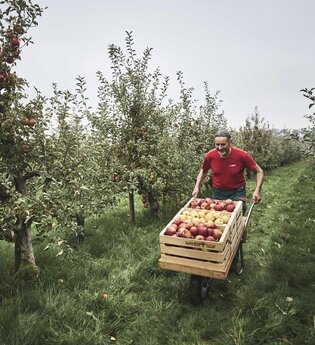 Mit Herz und Hand – Apfelernte auf dem Mayerhof im Kraichgau-Stromberg. | © Tourimia Tourismus GmbH