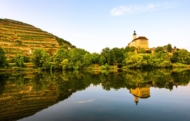 Steillagen-Areal Gundelsheimer Himmelreich | Neckartal | HeilbronnerLand | © Touristikgemeinschaft HeilbronnerLand