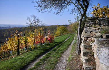 Möderhausen und Eppinger Linie | Michael Wennes | © Kraichgau-Stromberg Tourismus e.V.