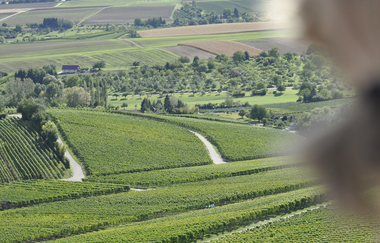 Ausblicke von der Heuchelberger Warte | Leingarten | HeilbronnerLand | © Touristikgemeinschaft HeilbronnerLand e.V.